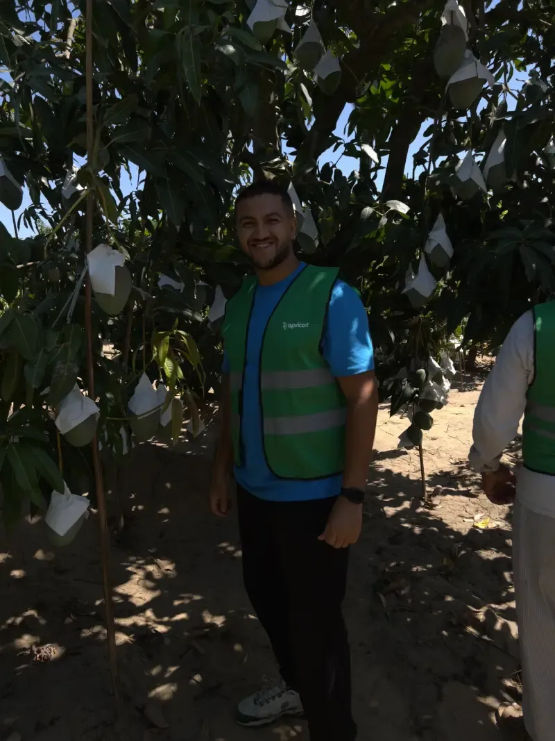Smiling field worker in an Apricot vest before bagged orchard fruit