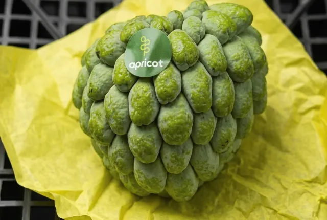 Custard Apple — Egyptian Apples for export