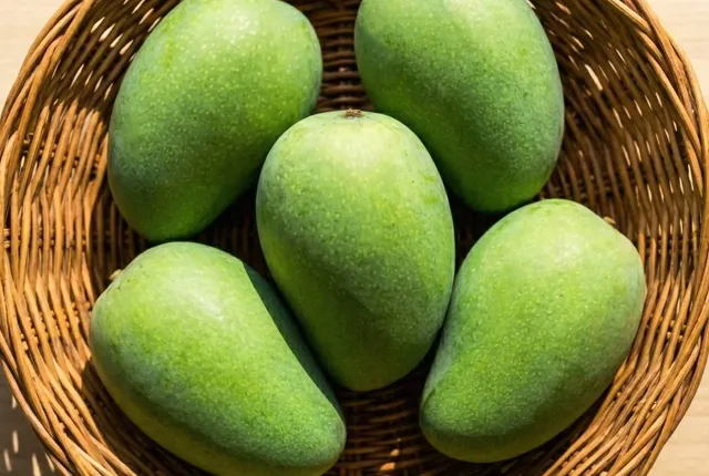 Kingstone — Egyptian Mangoes for export