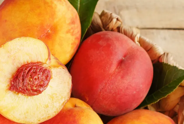 Peaches — Egyptian Peaches for export