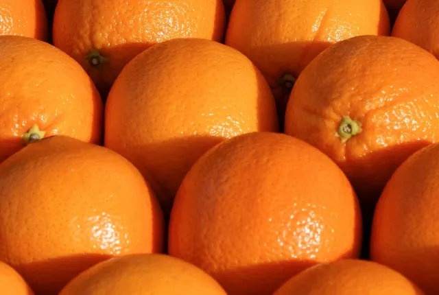 Valencia Orange — Egyptian Oranges for export